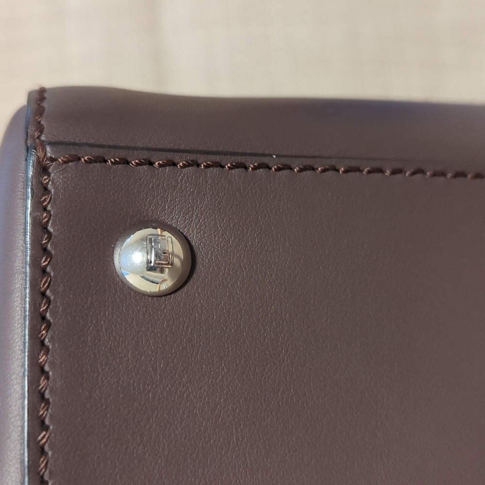 Fendi Dotcom Leather Shoulder Bag with Silver Hardware - Picture 7 of 16